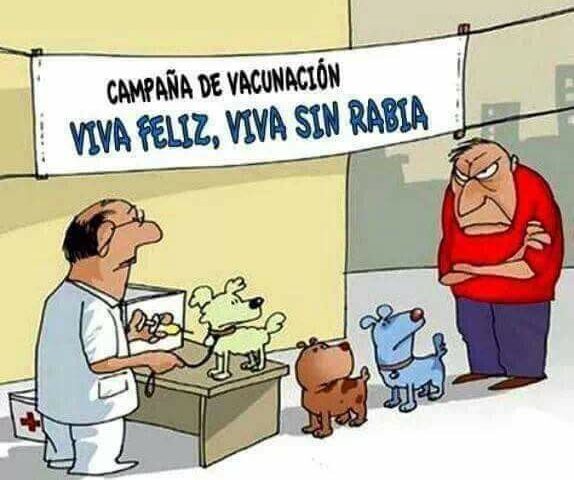 Los niveles del español