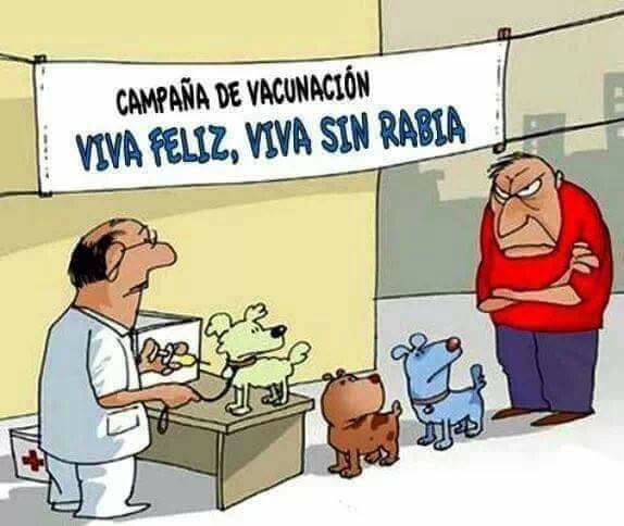 Los niveles del español